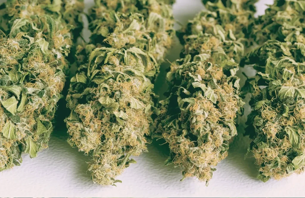 Convenience Meets Quality: Pineapple Express for Parties