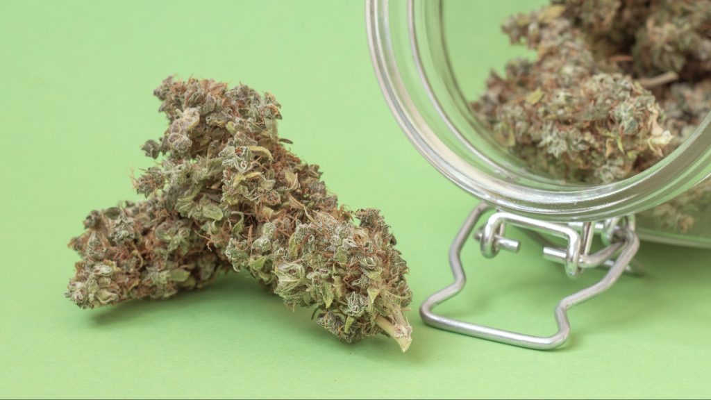 Can THCA Hemp Flower Be Used for Sleep Disorders?