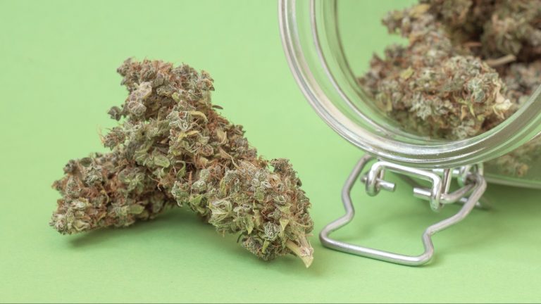thca bud