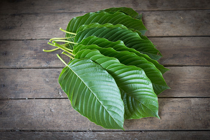 best kratom strains